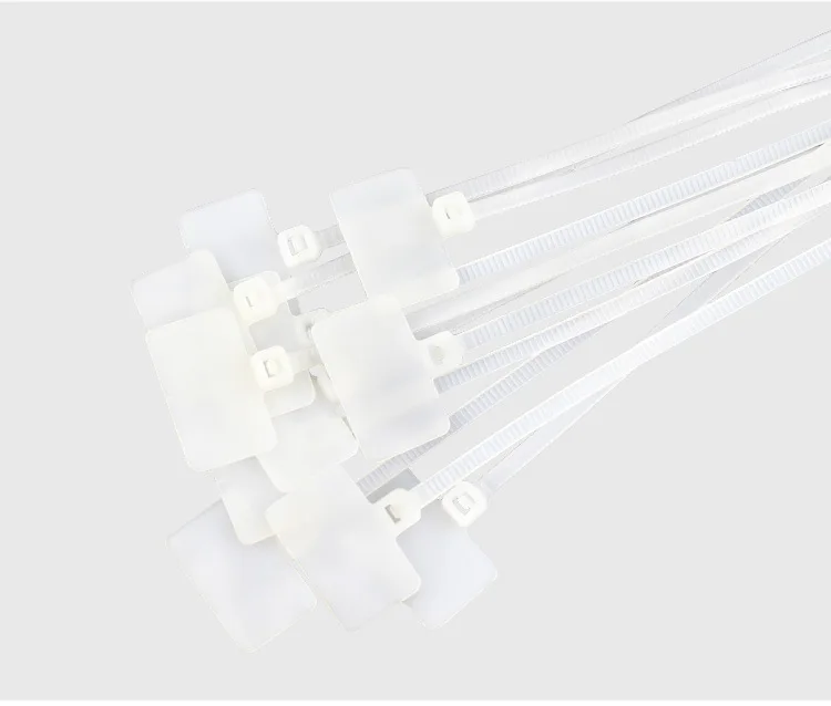 4458322581_1257796623