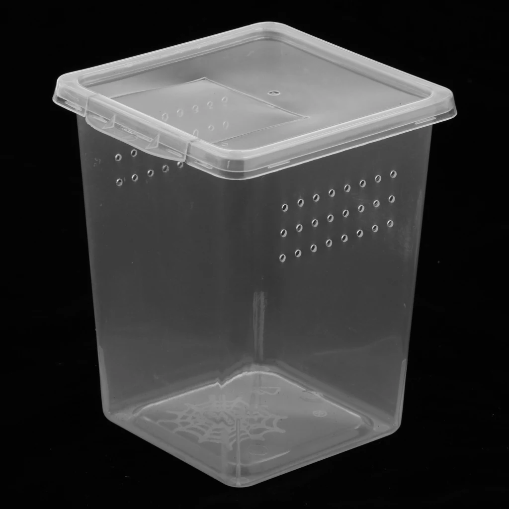 Plastic Insect  Turtle Spider Habitat Feeding Box Container 8x8x11cm