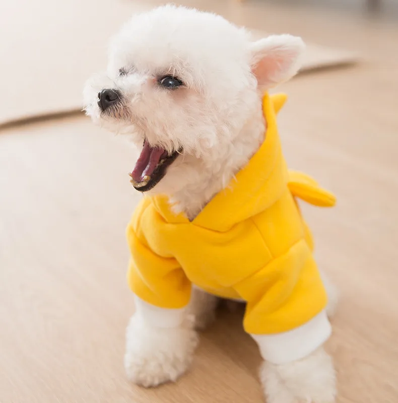 dog hoodies (5)