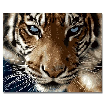 

Paint By Numbers Kits with Brushes and Acrylic Pigment DIY Canvas Painting for Adults Beginner- Tiger