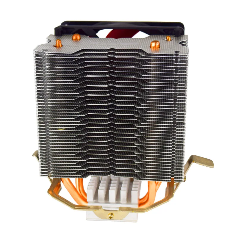 3256873485_1064984232