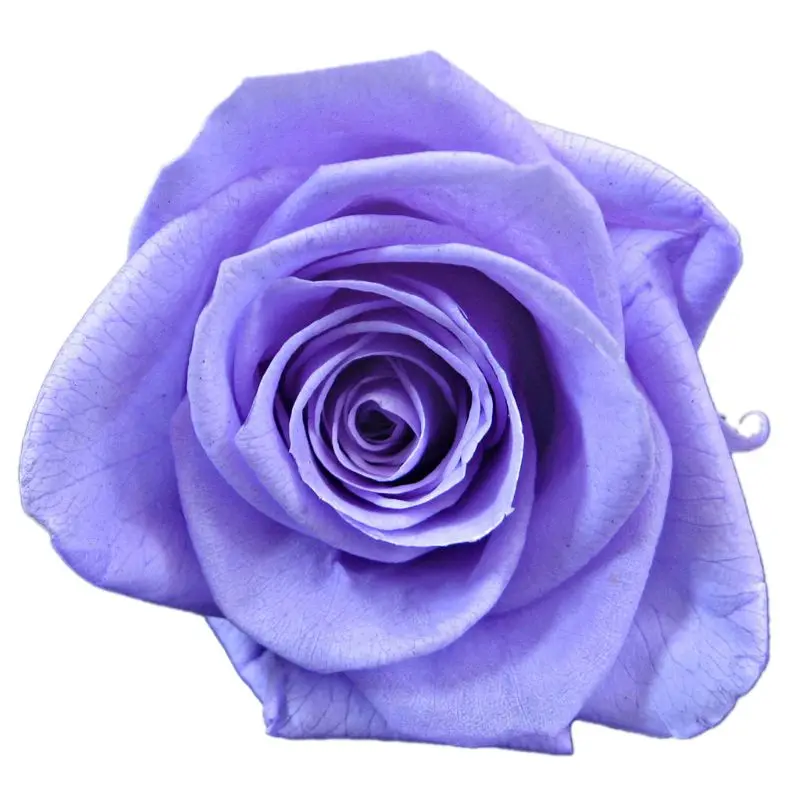 Rose Forever Rose Anniversary Day Gift Preserved Rose Birthday Gift Fresh Flower 634E