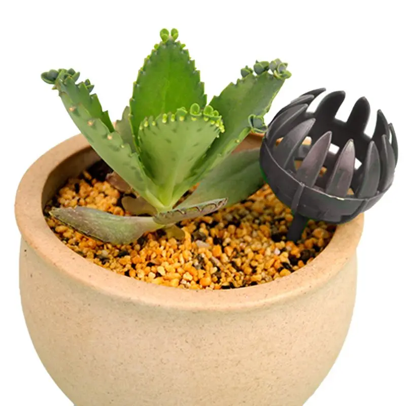 

20pcs Fertilizer Cover Plastic Bonsai Tools Jade Fat Box Claw Box Slow Release Fertilizer Container Au05 19 dropship