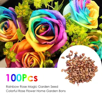 

100pcs Rainbow Rose Flower Seeds Home Garden Yard Bonsai Plants Seedlings DIY Garden Decoration Natural Grain Bulk Flowers Seeds