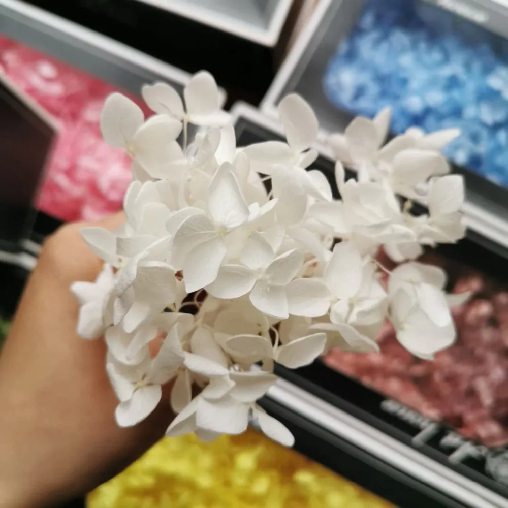 7bce3557abbb4e0e4f4330219b7accf