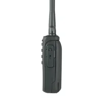 Walkie Talkie