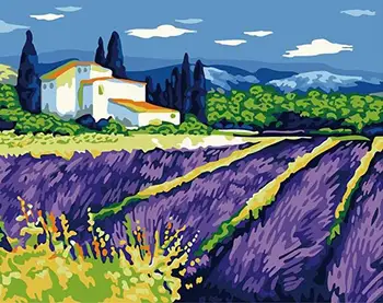 Farm fields under blue sky painting by number