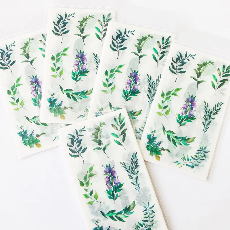 Рисунок 2 - 6 листов/упаковка