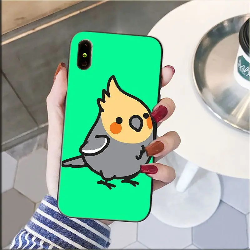Chubby Cockatiel