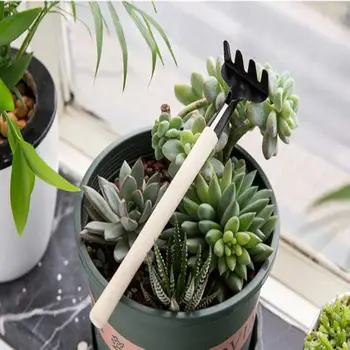 

GloryStar 3Pcs Home Gardening Tool Set Succulents Planting Tools Mini Digging Iron Shovel Rake Garden Tools
