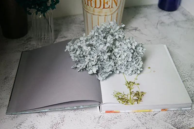 Anna Hydrangea  Flowers  Little  Leaves Preserved Hydrangea Decor  Office Decor  DIY Flowers