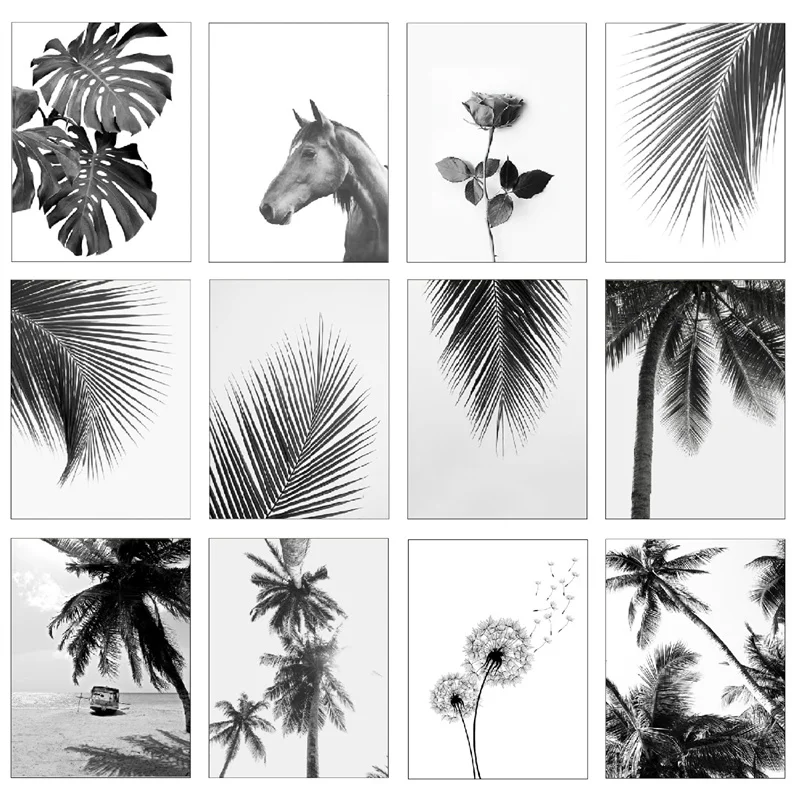 Black And White Landscape Beach Palm Trees Decoration Nordica Home Garden Poster Bedroom Pictures Canvas Painting | Дом и сад
