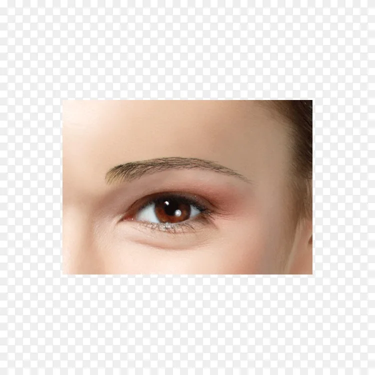 眉毛png图片素材免费下载 图片编号 Png素材网