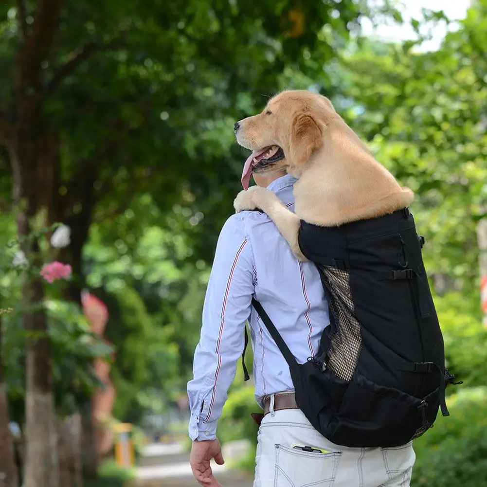 Дышащие трусики для собак Сумка для больших собак золотой ретривер рюкзак с изображением бульдога Регулируемая большая собака дорожные