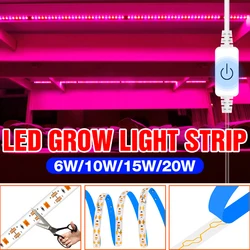 Phytolampe de croissance LED DC 5V, bande lumineuse USB pour culture de plantes, fleurs, semis, tente, boîte, ampoule hydroponique 2835 