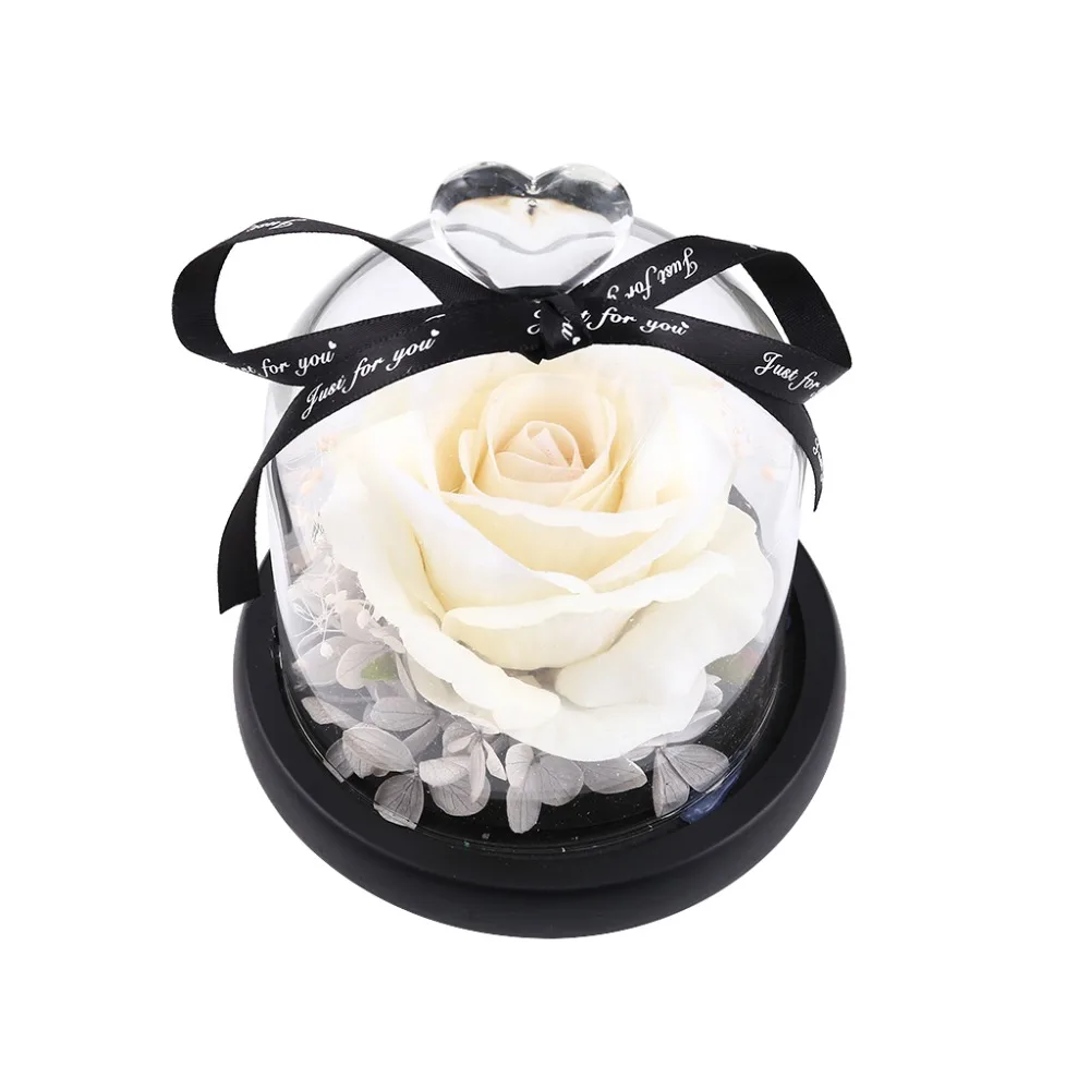 782d169772dfbe226629b9fb5f931194