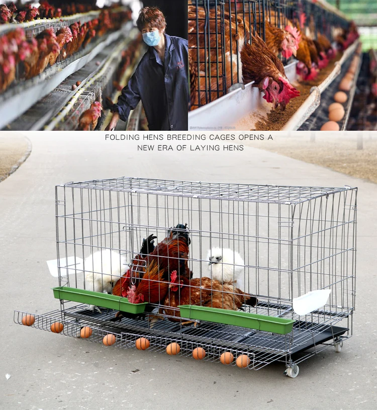 

L27.56*W23.62*H27.56(in) Stacked chicken cage household large bold encryption pigeon egg chicken cage automatic roll out