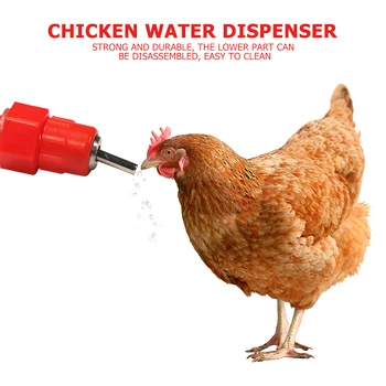 

Chicken Nipple Drinker Feeder Water Cups Chicken Poultry Feeding Watering for Household Animal Chicken Accessories