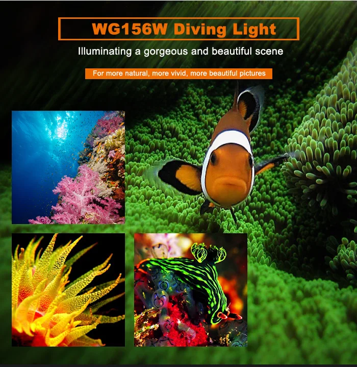 HTB1mkp3gKSSBuNjy0Flq6zBpVXac