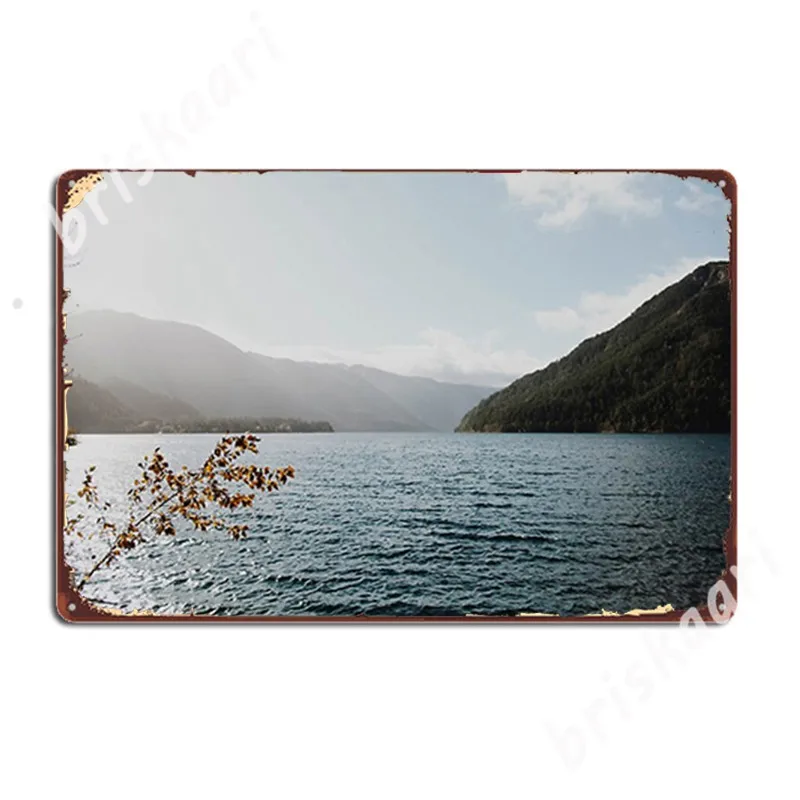 

Металлические знаки Sunny Lake, кухонный Ретро кинотеатр, кухонный постер, оловянные плакаты