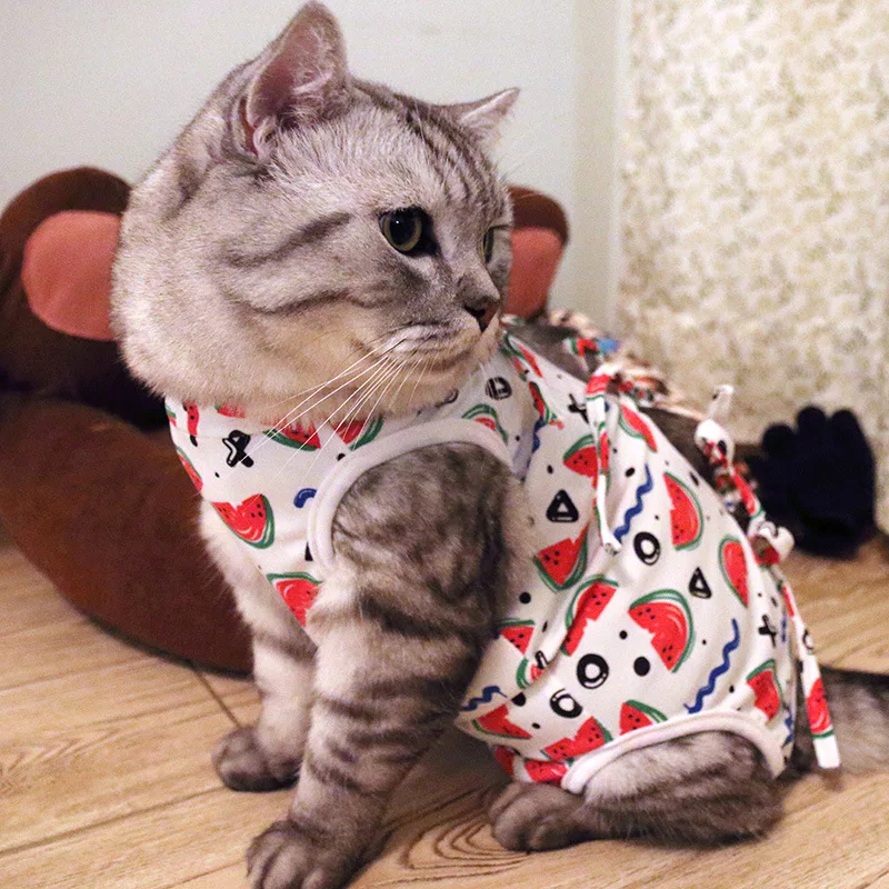 

Cat Sterilization Clothes Cat Cat Scrubs Weaning Thin Anti-Shed Postoperative Anti-Add Anti-Bite Physiological Clothing