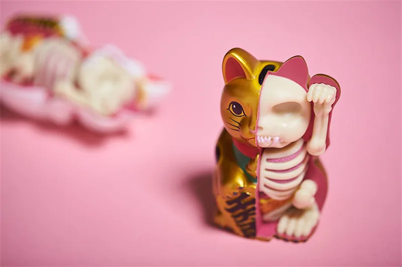 

master puzzle Assembling toy Perspective bone anatomy model Golden money cat 4d