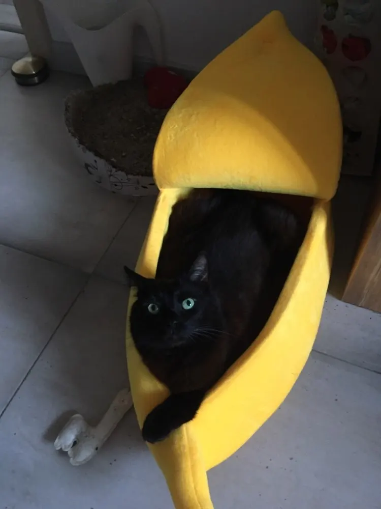 1313