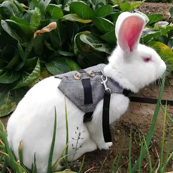 

Rabbits Hamster Vest Harness With Leas Bunny Mesh Chest Strap Harnesses Ferret Guinea Pig Small Animals Pet Accessories S/M/L