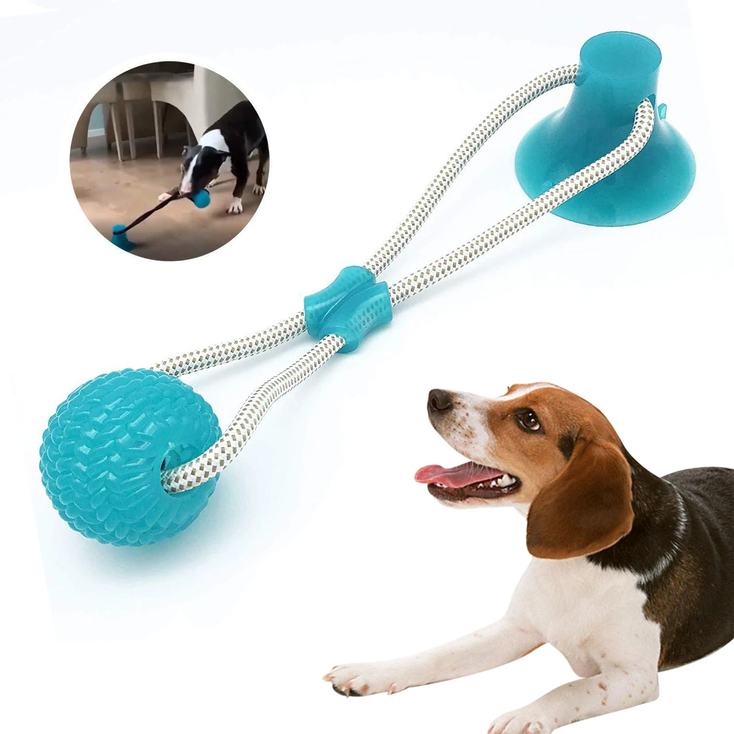 self play dog toys