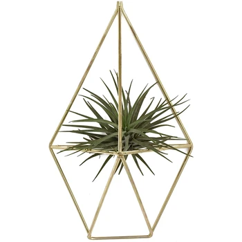 

Wall Mount Hanging Irregular Pentagon Geometric Metal Tillandsia Air Plants Holder Rack Wall Accent Decor for Himmeli