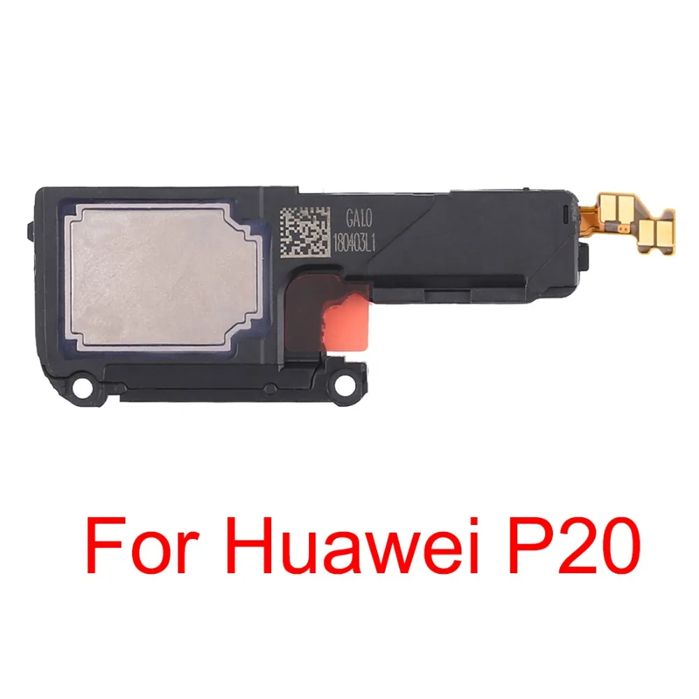 SP8579_1