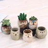 Garden Supplies