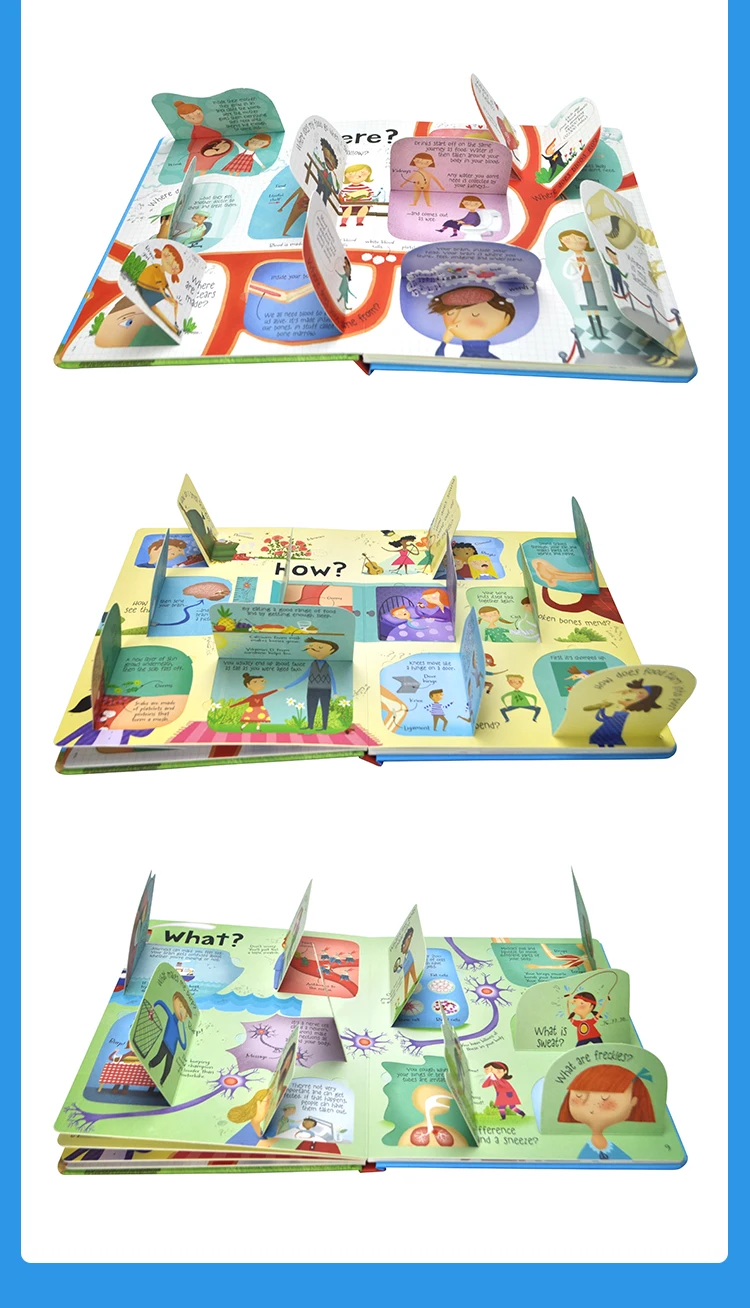 Questiones e Respostas sobre Seu Livros de Imagem Usborne Lift-the-flap Corpo Inglês Educacional Bebê Crianças Aprendendo Leitura Presente 8 Computers & Electronics