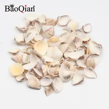Conchas de mar naturales, decoración artesanal para paisajismo DIY, acuario, adornos para el hogar, 30 uds., 10-20mm
