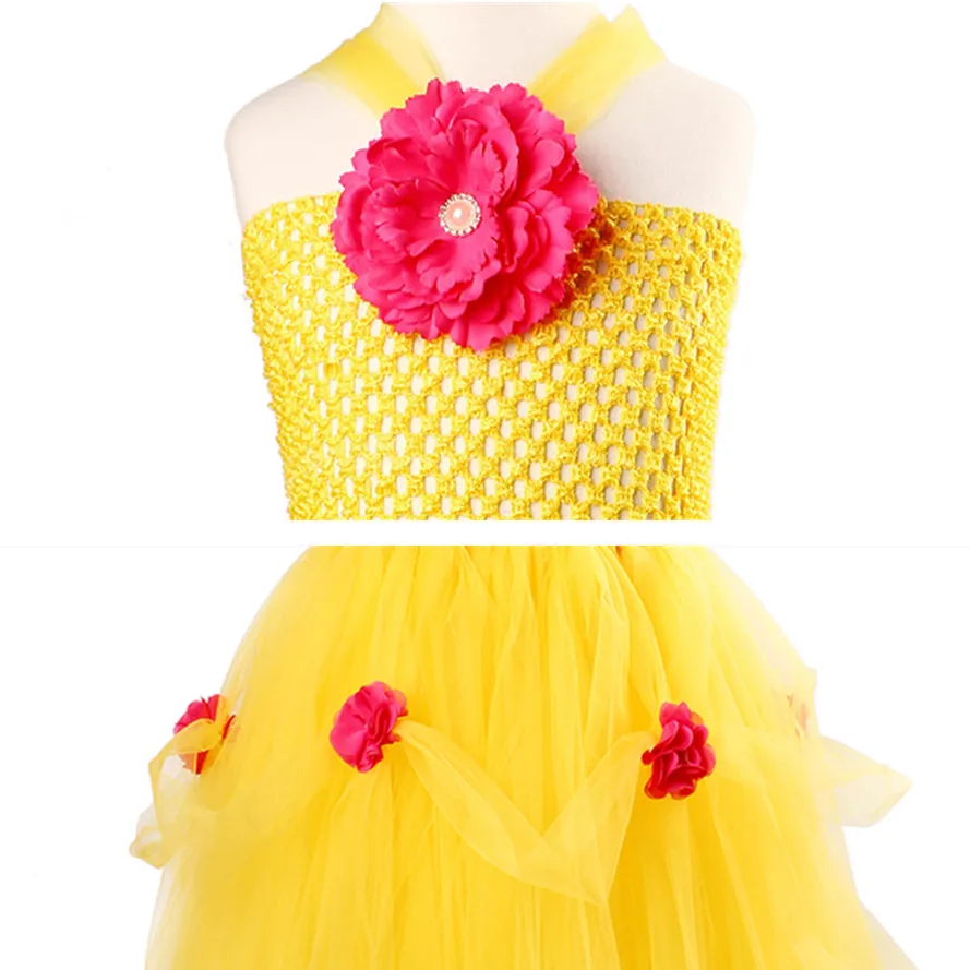 Belle Princess Tutu Dresses Flower Girl Tulle Fairy Ball Gown Baby Girl Pageant Party Fancy Clothes Halloween Costume Vestidos0_副本 (3)