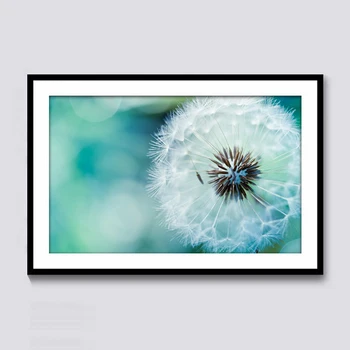 

5D Diamond Painting By Numbers Full Square Dandelion Cross Stitch Diamond Mosaic Kits Art Pictures Home Decor For Audlt
