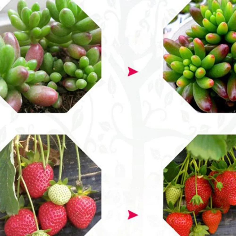 Full Spectrum Led Plant Grow Light Lamp For Plant Indoor Nursery Flower Fruit Veg Hydroponics System Grow Tent Light