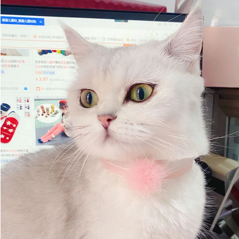 20849235371_1199050608