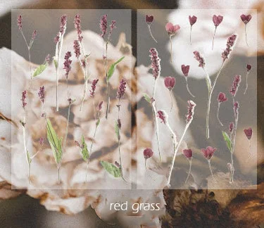 red grass 2 листа Ретро цветок лист завод маркер стикер Дневник канцелярские ПВХ наклейки s для скрапбукинга, школьные принадлежности Bullet Journal sl2203 - Цвет: red grass