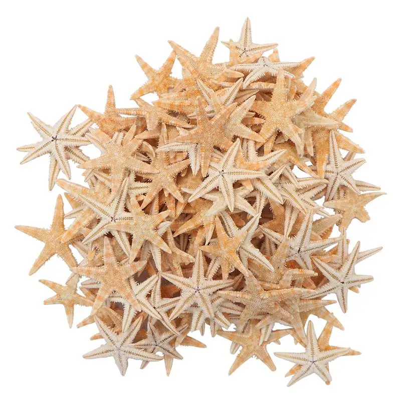

Pack of 100 Sea Star Decorative Small Vivid Natural Fish Tank Decor Aquarium Landscape Sea Star Ornament Resin Fish