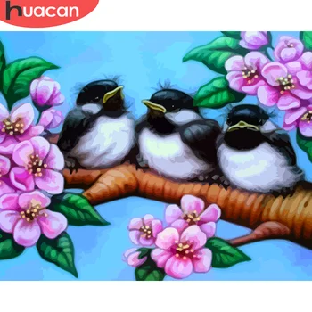 

HUACAN Painting By Numbers DIY Bird Animal Drawing On Canvas Pictures By Number Flower Kits Home Decors