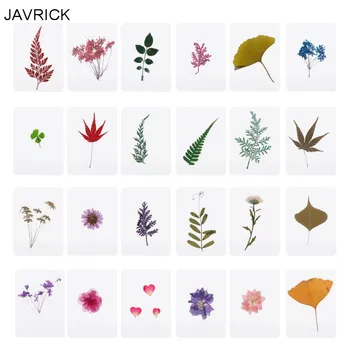 

Mix Pressed Flower Leaves Plant Specimen Fillers for Epoxy Resin Jewelry Making