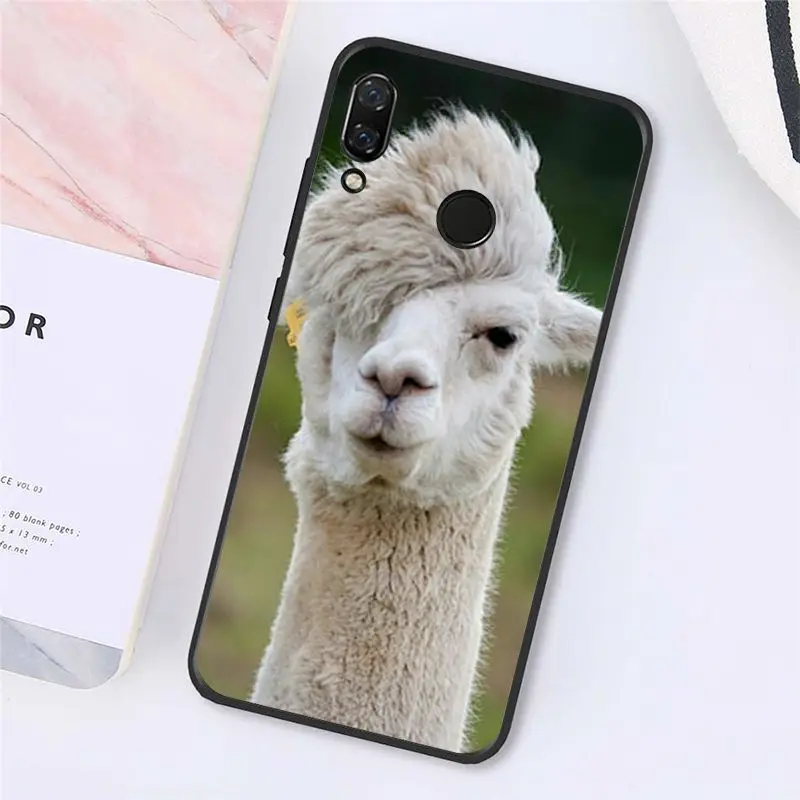 Babaite лама ламы альпаки чехол для телефона с рисунком в виде животного для Xiaomi mi5 6 A1 A2Lite Mi9 9SE mi8lite F1 Mix2 2S Max2 3 - Цвет: A11