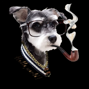 

Retro look Dogs Patches For Kids Boys Clothing Diy Easy Use Parches Washable Appliqued Custom Heat Transfer Vinyl Stickers