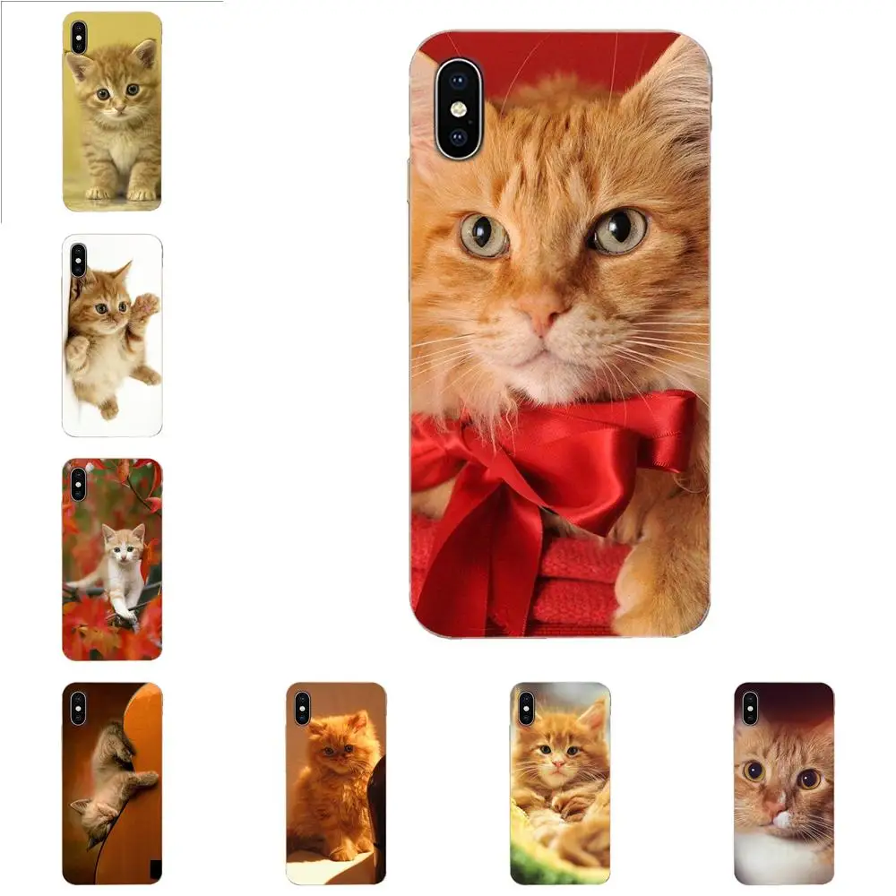 Мягкие чехлы из ТПУ с изображением животных оранжевого кота для Samsung Galaxy A51 A71 A81 A90