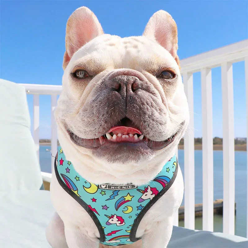 Harnais animal,Harnais pour chien bouledogue français,carlin,petit et moyen gabarit,laisse