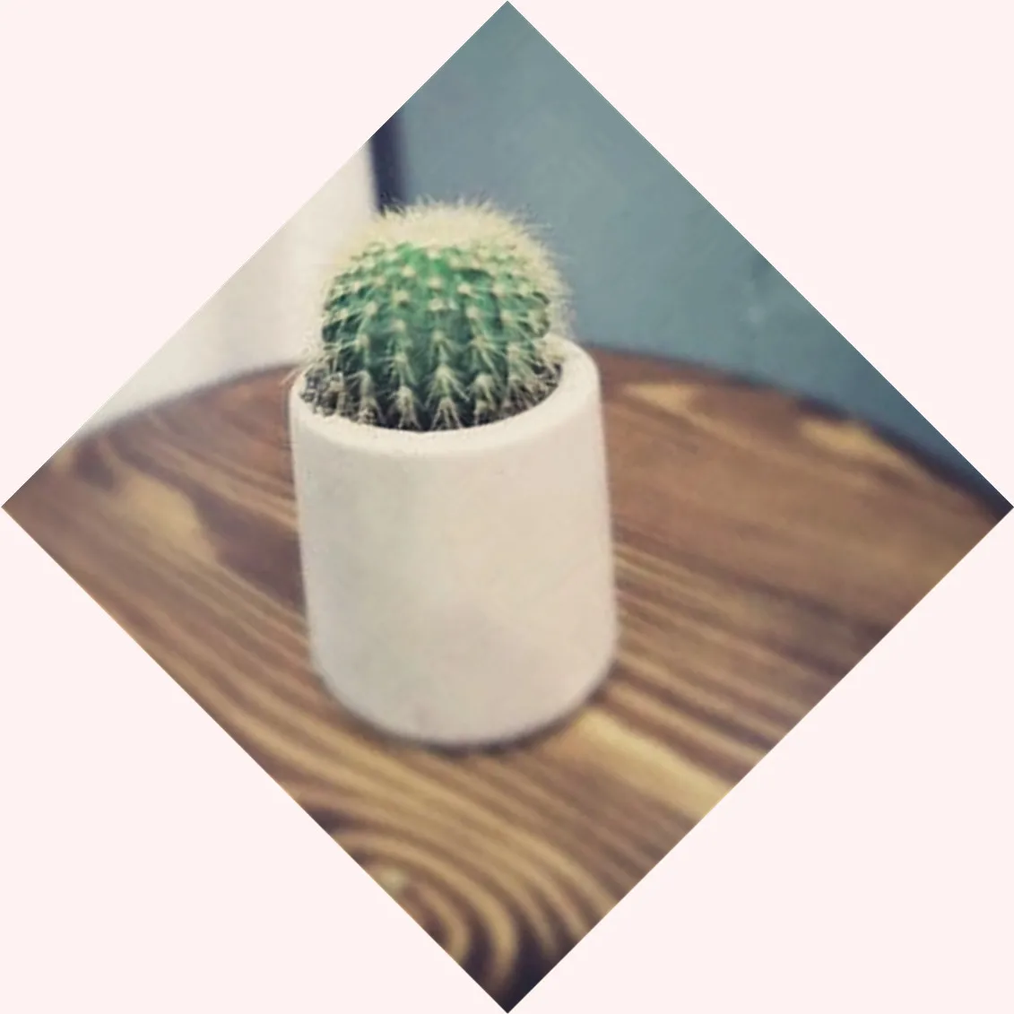 Diy ремесленный круглый форма цветочный горшок Силиконовые формы для рабочего стола емкость для цементного раствора формы бетон кактус посадки плесень