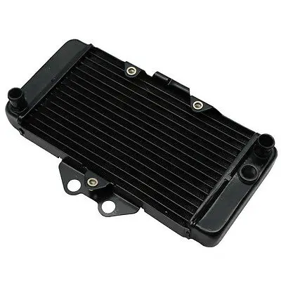 Motorcycle Radiator Cooler Cooling For Honda VTR250 1997-2007 98 99 00 01 02 03 04 05 06