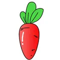 Carrot kitchen Store