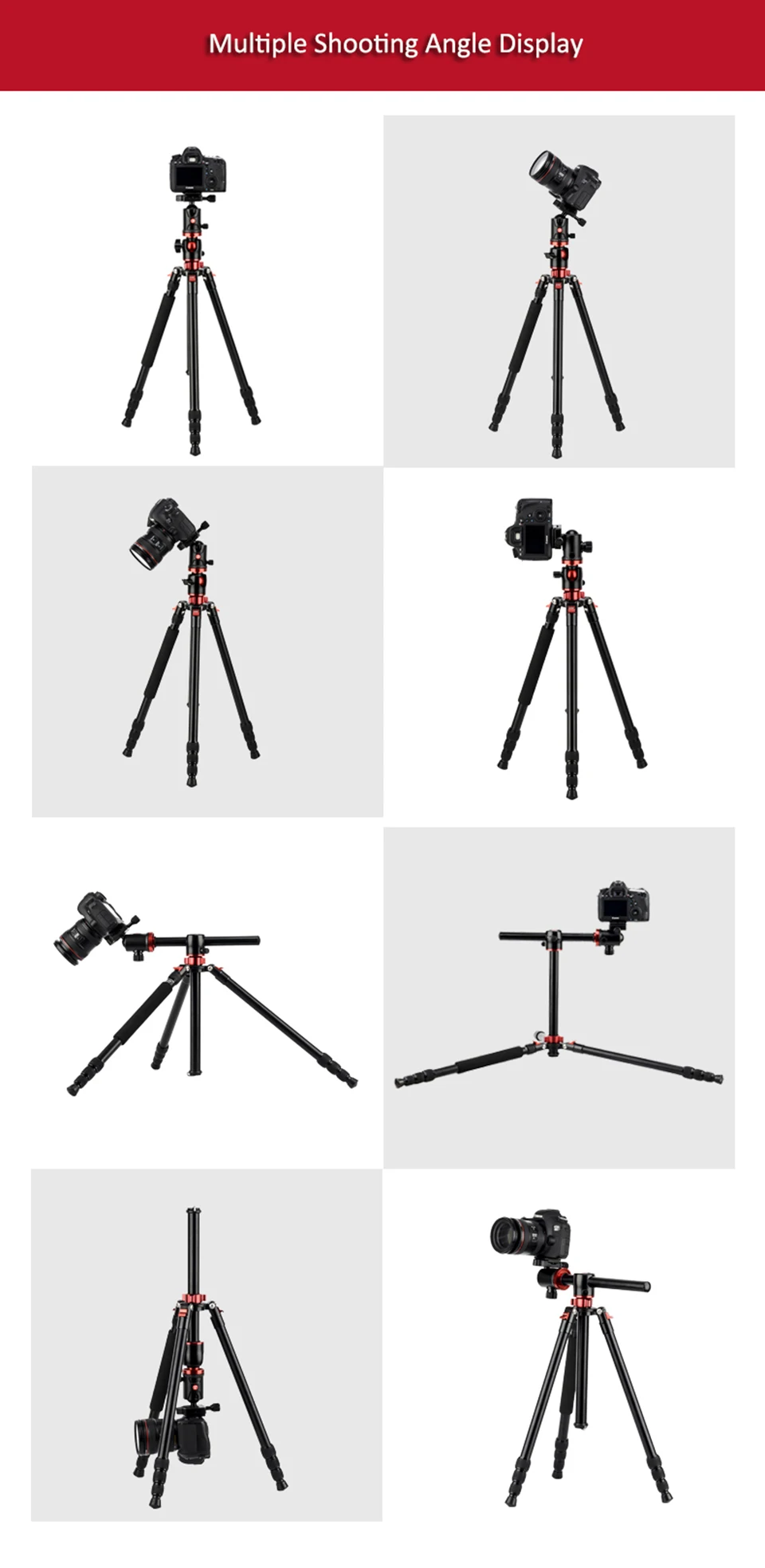 ZOMEI M8 Tripod Aluminum Professional 10 H68ec015c999e44bda7064d07012efe66X